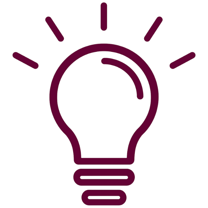 Vision Icon